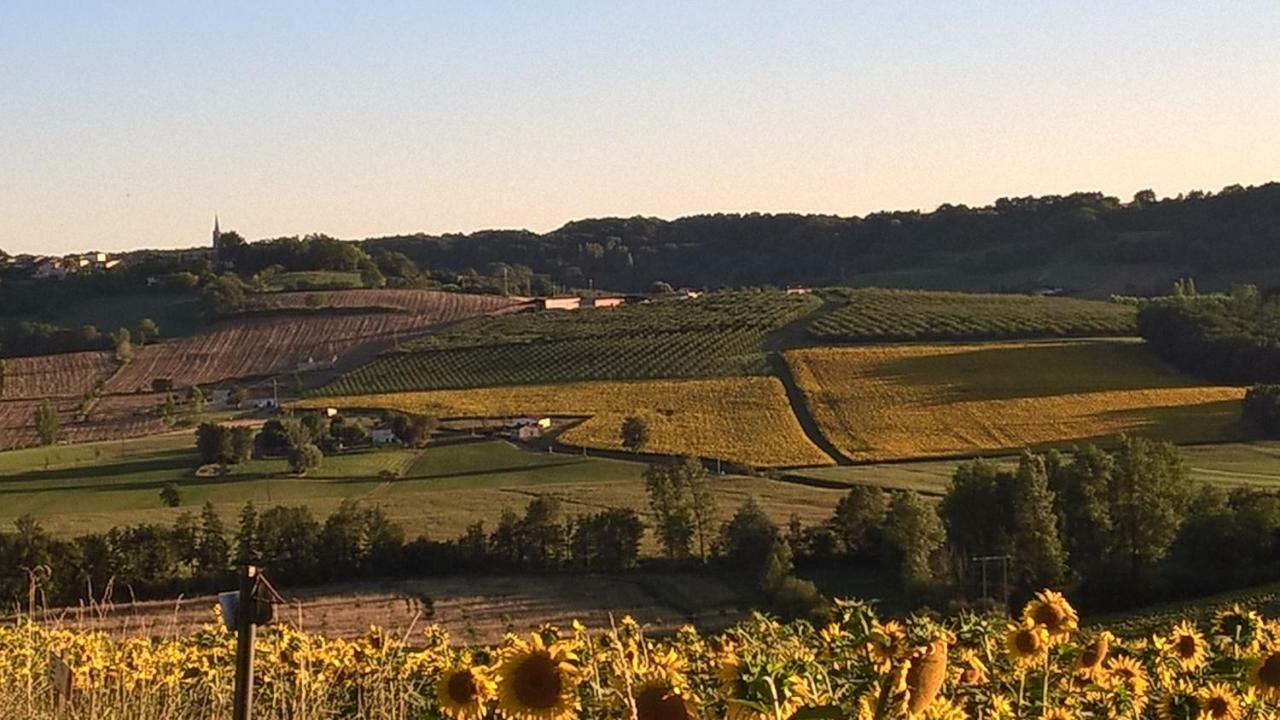 La Maison De Maitre Sainte-Livrade-sur-Lot Kültér fotó