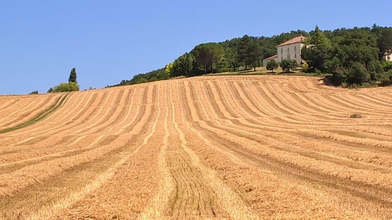 La Maison De Maitre Sainte-Livrade-sur-Lot Kültér fotó